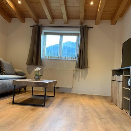 Ferienwohnungen Pletzenauer Sankt Johann in Tirol Buitenkant foto